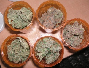 Cannabis_Medica